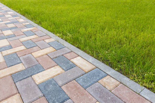 Best Decorative Driveway Pavers  in Pinckney, MI